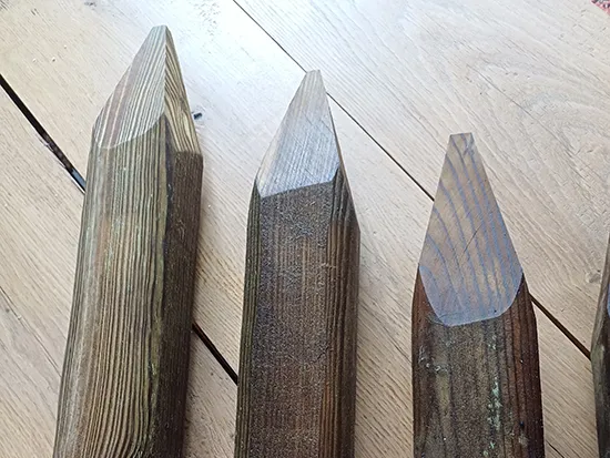 piquets pin portugais