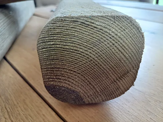 piquets pin portugais